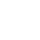 Platform Specific Optimization Icon